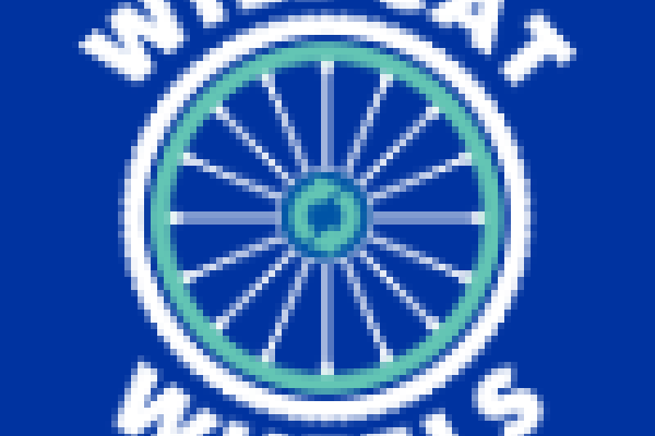 Wildcat Wheels Logo
