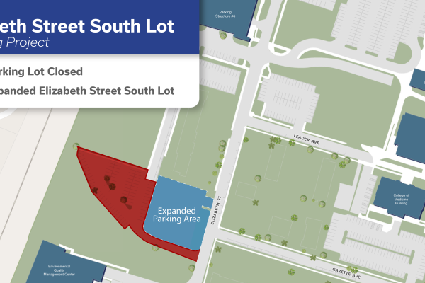 Elizabeth Street South Lot Expansion