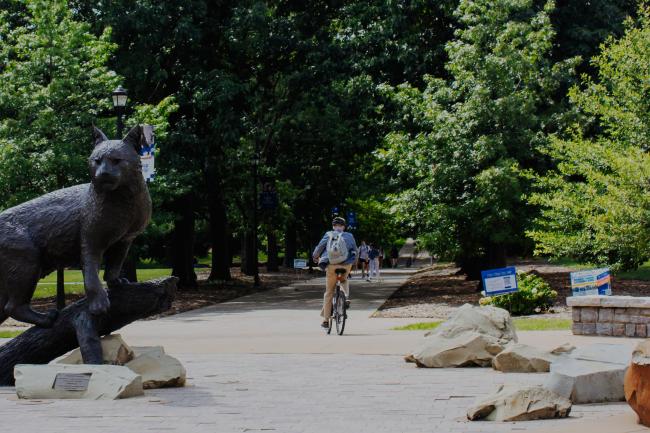 Bike near Wildcat Statue