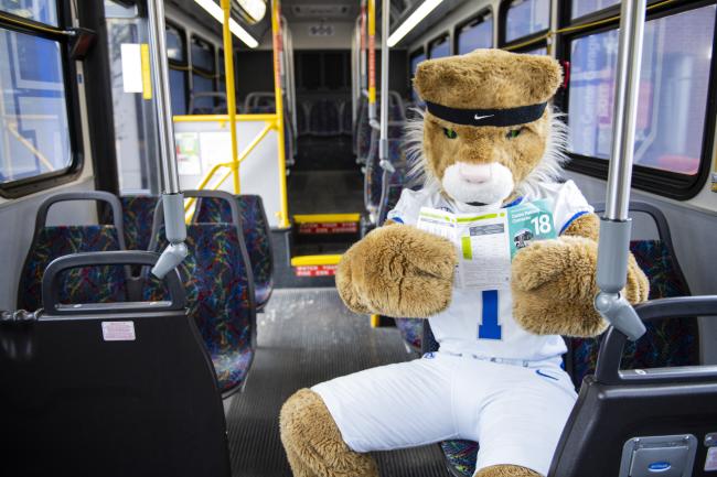 Wildcat on the bus