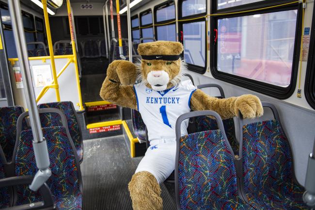 Wildcat on a Bus