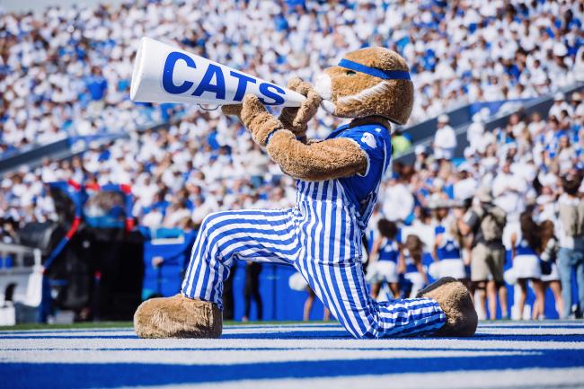 Kentucky Wildcat