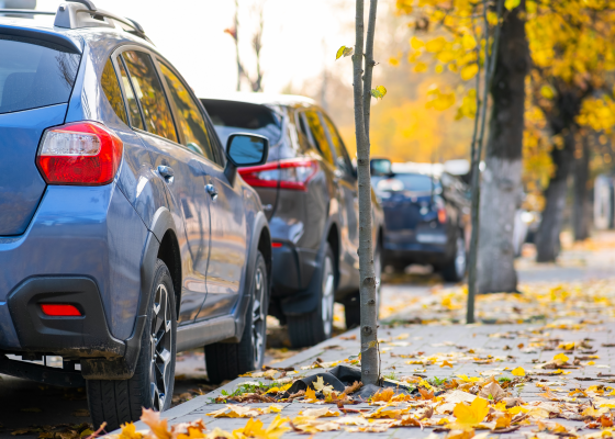 Fall Cars Parked