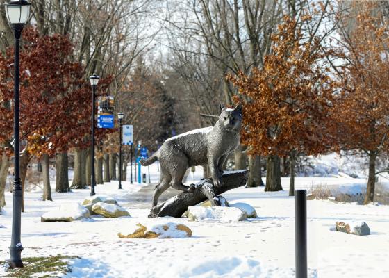 Snowy Bowman