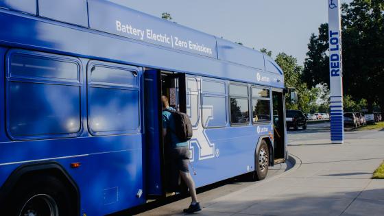 bus