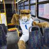 Wildcat on a Bus