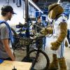 Big Blue Cycles